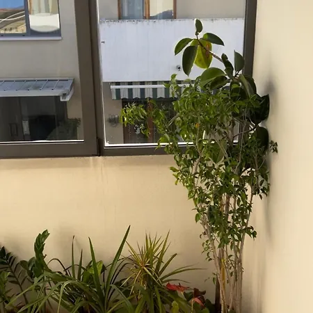 Valerica Apartment